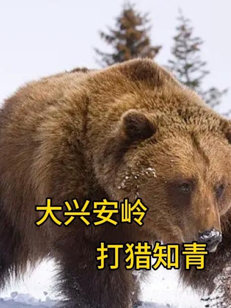 大兴安岭打鱼情况