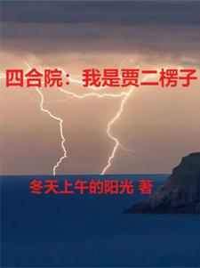四合院里的老邻居小说